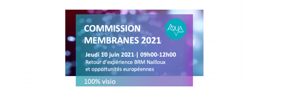 COMMISSION MEMBRANES N°16 • BRM COMMISSION MEMBRANES N°16 • BRM