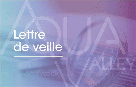 LETTRE DE VEILLE ÉTÉ 2022 LETTRE DE VEILLE ÉTÉ 2022