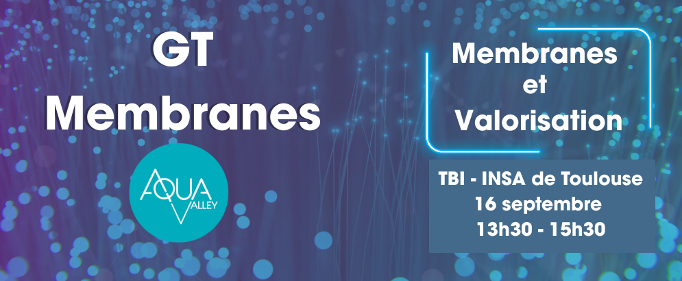 GT Membranes - Membranes et Valorisation GT Membranes - Membranes et Valorisation